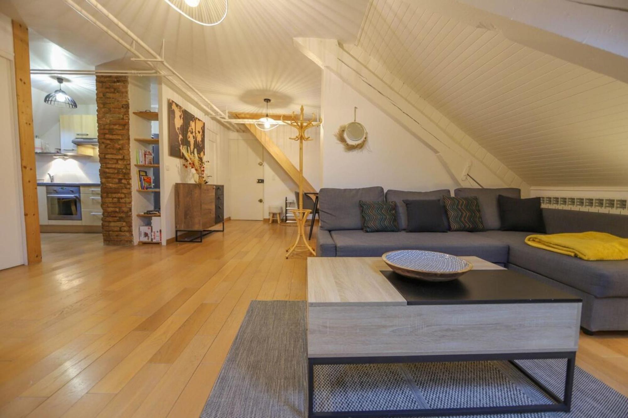 Apartment Le Factory Duplex En Vieille Cote Annecy